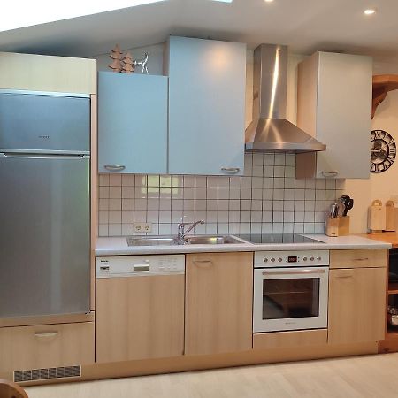 Haus Enzian Daire Mittersill Dış mekan fotoğraf